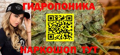 прущие крисы Вязьма